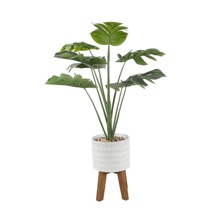 32" Split-leaf in 8" Raindrop Planter