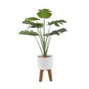  32" Split-leaf in 8" Raindrop Planter