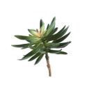  Artificial Aloe Succulent with Stem