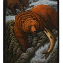Queen Bear by the River - Cozy Queen Size Plush Blanket