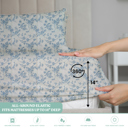 Willow King Ultra-Soft 6-Piece Microfiber Sheet Set – Lightweight, Wrinkle-Free, Deep Pocket Bedding for All Bed Sizes