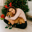 Light Bulb and Reindeer Run Pack Of Two Paws & Claus: Matching Holiday Socks for You + Your Pet: Pack Of Two