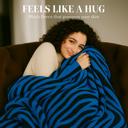 Blue Black Super Soft And Warm White & Black Zebra Print Mink Plush Blanket Queen Size