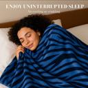 Blue Black Super Soft And Warm White & Black Zebra Print Mink Plush Blanket Queen Size