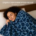 Blue Light Blue Super Soft And Warm White & Black Zebra Print Mink Plush Blanket Queen Size