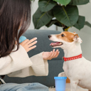 Adult Portable Silicone Pet Dog Cat Paw Feet Cleaning Brush Bottle