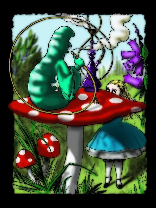 Alice in Wonderland Weed Blanket – Plush Queen Size Throw, Ultra Soft & Cozy