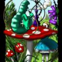 Queen Alice in Wonderland Weed Blanket – Plush Queen Size Throw, Ultra Soft & Cozy