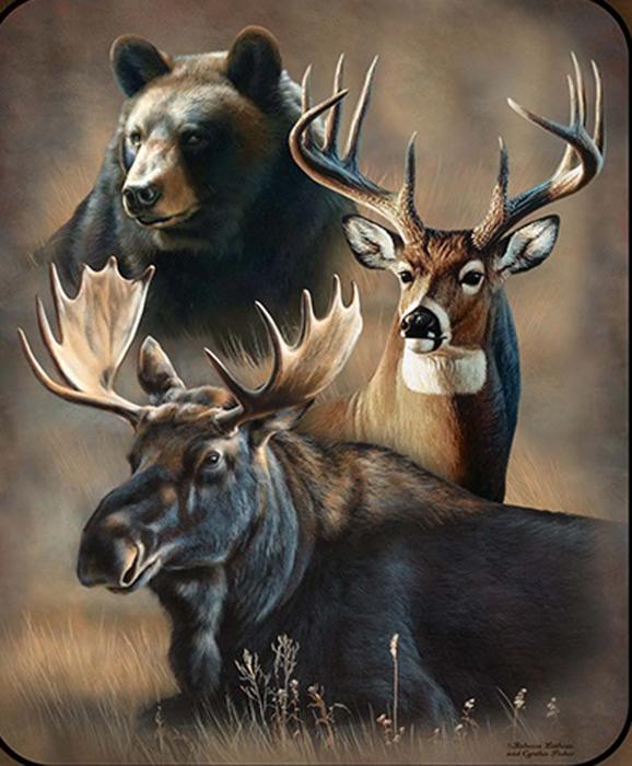 Wilderness Blanket – Dynamic Trio Edition, Plush Queen Throw, Extremely Soft