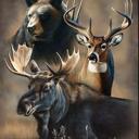 Queen Wilderness Blanket – Dynamic Trio Edition, Plush Queen Throw, Extremely Soft