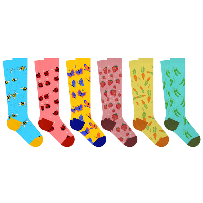 6-Pair: Vibrant Novelty Knee-High Socks