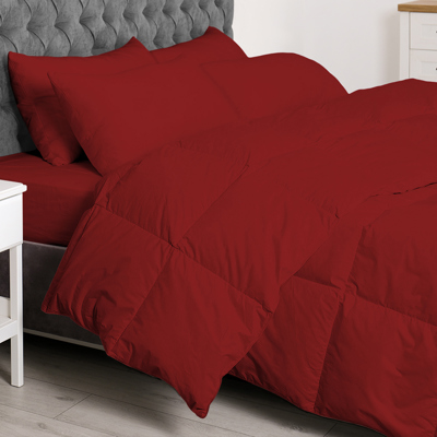 Double Brushed 7-Piece Bed-In-A-Bag: Ultimate Comfort Collection