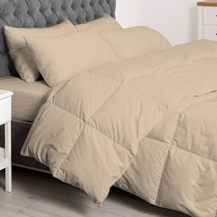 Double Brushed 7-Piece Bed-In-A-Bag: Ultimate Comfort Collection