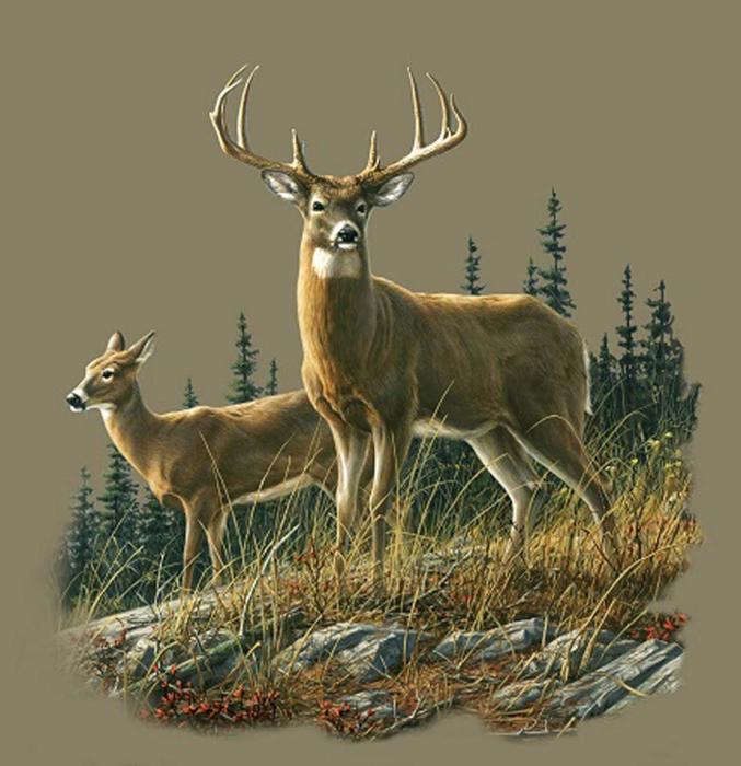 Autumn Whitetails Deer Blanket – Plush Queen Size, Cozy & Warm