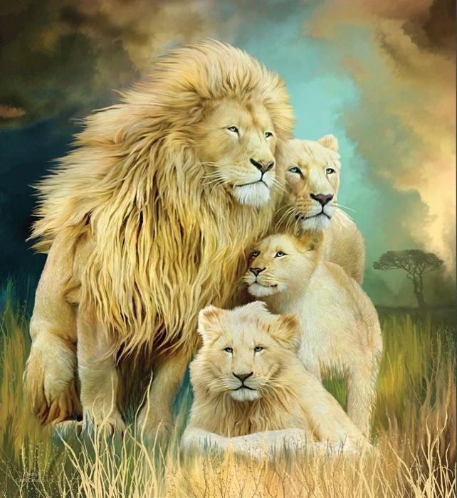 Lion Family Blanket – Ultra Soft Queen Plush Throw, Machine Washable