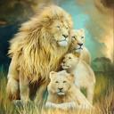 Queen Lion Family Blanket – Ultra Soft Queen Plush Throw, Machine Washable