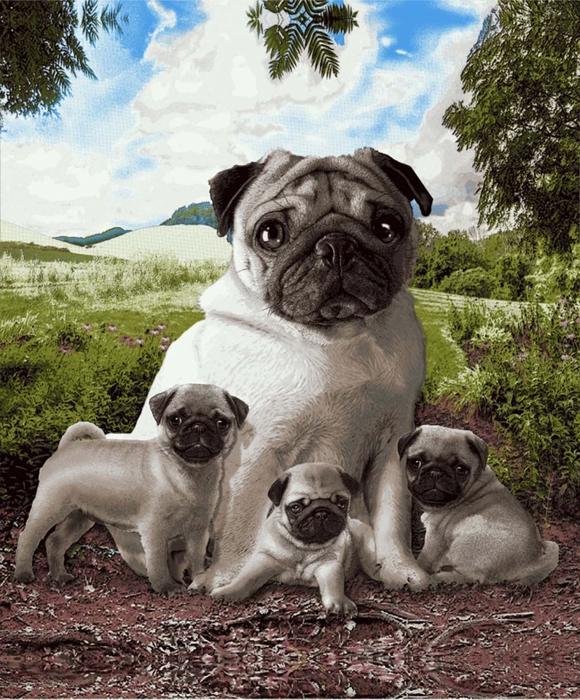 Pug Family Plush Blanket – Queen Size, Super Soft & Cozy
