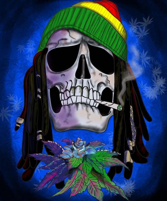 Rasta Skull Marijuana Pot Smokers Blanket – Plush Queen Size Throw, Ultra Soft