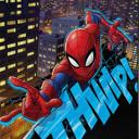 Queen Spider-Man Queen Blanket – Ultra Soft Plush Throw, Easy to Wash