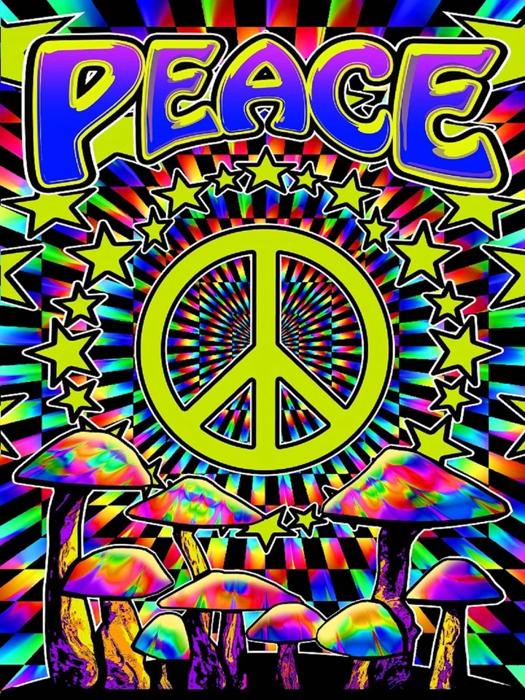 Psychedelic Plush Queen Blanket – Trippy Peace Vibe Design, Ultra Soft