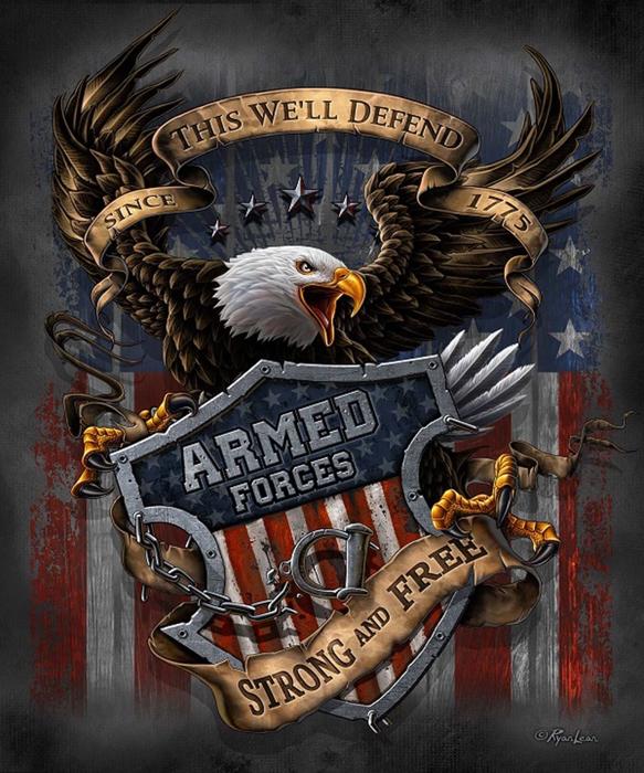 USA Armed Forces Plush Blanket � Queen Size, Super Soft & Cozy