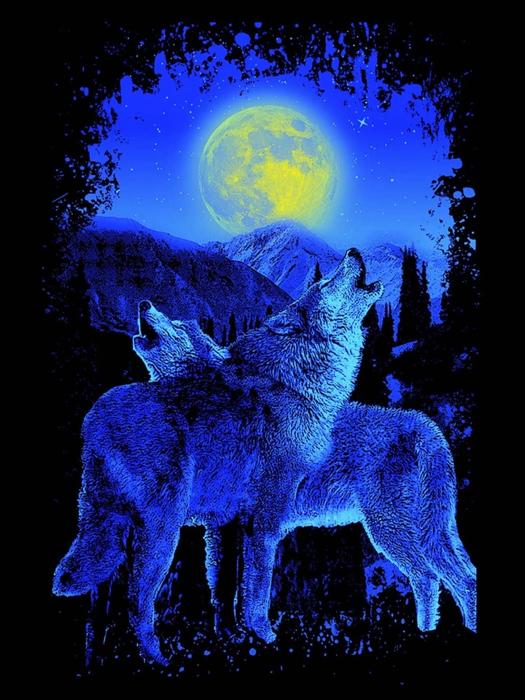 Wolf-Themed Queen Blanket – Soul Mate Wolves - Plush & Ultra Comfortable