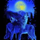 Queen Wolf-Themed Queen Blanket – Soul Mate Wolves - Plush & Ultra Comfortable