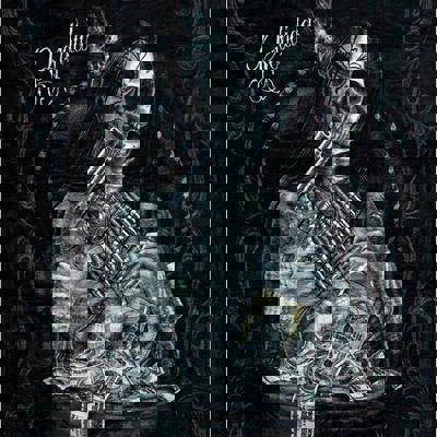 Bandida Queen Throw- DGA Art Series Blanket