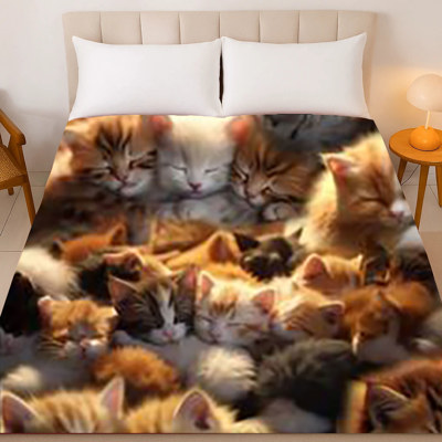 Extremely Soft Cat Blanket – Queen Size Plush, Kitty Dreams Edition