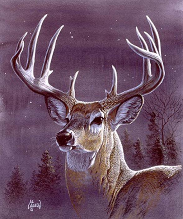 Deer Blanket – Midnight Buck Edition, Plush Queen Throw, Super Soft