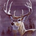 Queen Deer Blanket – Midnight Buck Edition, Plush Queen Throw, Super Soft