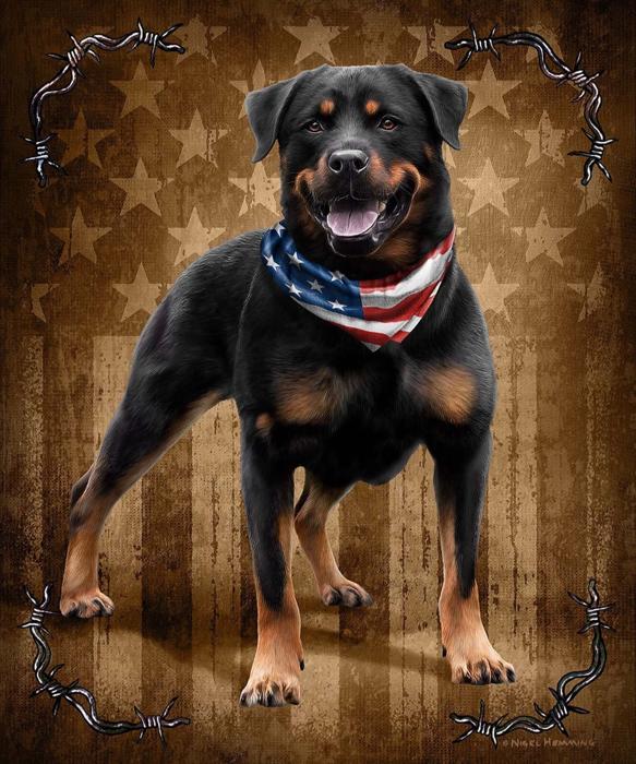 Dog Queen Size Plush Blanket – Ultra Soft – Patriotic to the Bone