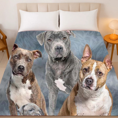 Pitbull Club Plush Blanket – Queen Size Comfort – Extremely Soft