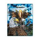 Queen Bald Eagle Queen Plush Blanket – Super Soft – Hidden 13 Eagles Pattern