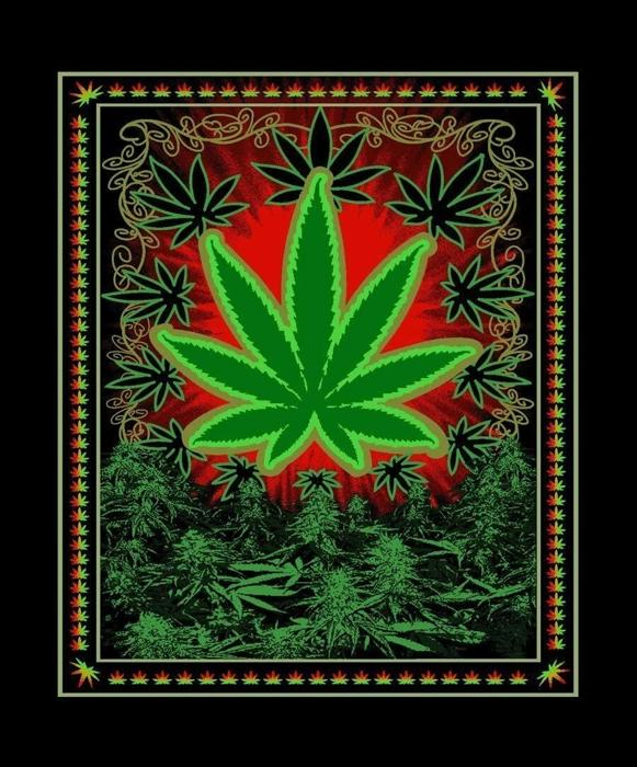 Kush Weed Plush Blanket � Heavy, Premium Quality, Ultra Soft Comfort
