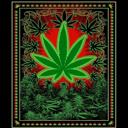 Queen Kush Weed Plush Blanket � Heavy, Premium Quality, Ultra Soft Comfort