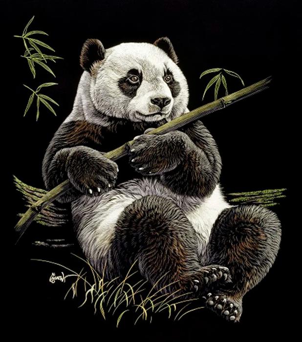 Panda Comfort Blanket – Plush, Warm & Queen Size