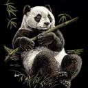 Queen Panda Comfort Blanket – Plush, Warm & Queen Size