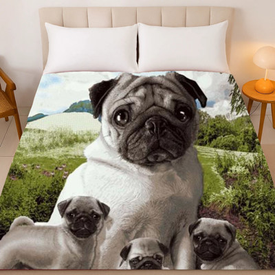 Pug Family Plush Blanket – Queen Size, Super Soft & Cozy