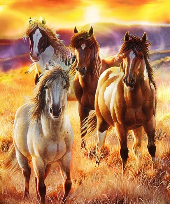 Cozy Plush Queen Horse Blanket – Sunrise Beauties Exclusive