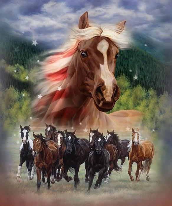 Patriotic Stomp Plush Queen Horse Blanket � Ultra Soft & Cozy