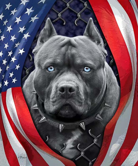 Patriotic Pitbull Blanket – Plush Queen Size – Ultra Soft & Cozy Throw