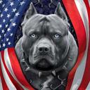 Queen Patriotic Pitbull Blanket – Plush Queen Size – Ultra Soft & Cozy Throw