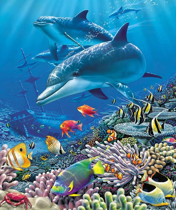 Ocean-Inspired Plush Blanket – Queen Size Dolphin & Fish Shipwreck Throw