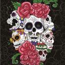 Queen Cozy Queen Size Sugar Skull Blanket – Plush Six Skulls Design