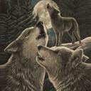 Queen Cozy Queen Size Wolf Blanket – Plush & Extremely Soft, Wolf Song Edition