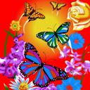 Queen Butterfly Dreams Blanket – Plush Queen Size Throw, Cozy & Colorful