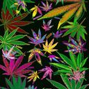 Queen Cannabis Leaf Plush Blanket – Cozy Queen Size Throw – Super Soft & Easy Care