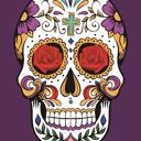 Queen Purple Sugar Skull Queen Size Blanket – Extra Soft & Plush