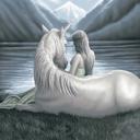 Queen Fantasy Fairy Blanket – Plush Queen Size Throw, Ultra-Soft & Dreamy Design